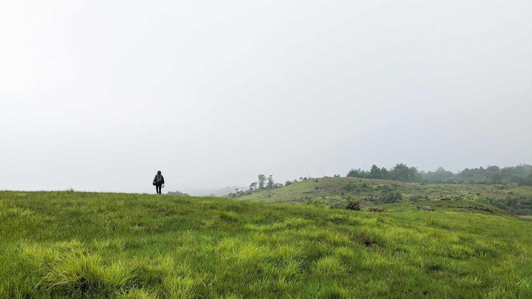 Figure in an open field under a pale sky