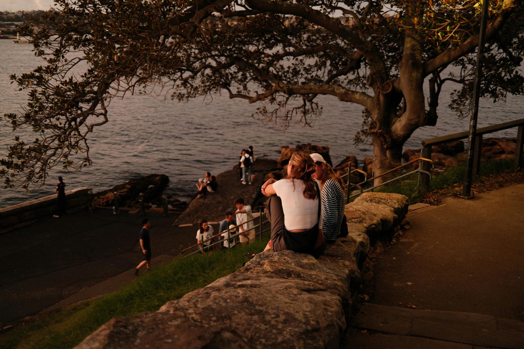 Coastal overlook at warm dusk